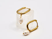 Edelstahl Ohrringe klassisch Süßwasserperle gold  | useful Beauty - useful Beauty 