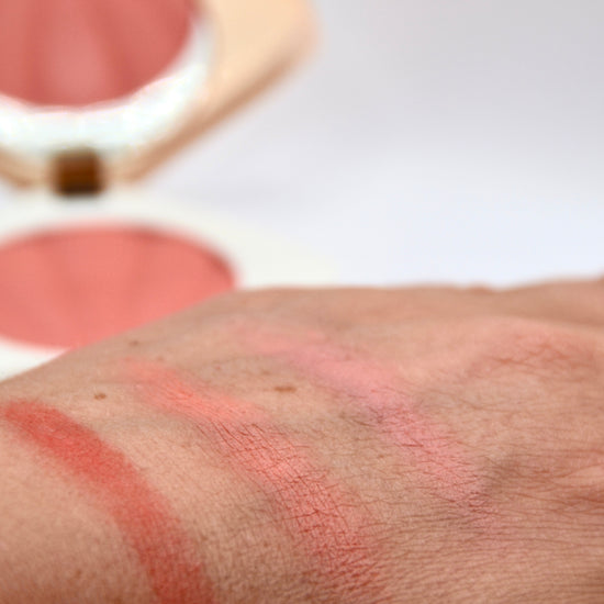 Blushpowder Seashell - useful Beauty 