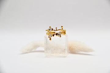 Edelstahl Ring laufendes Design Zirkonia | useful Beauty - useful Beauty 