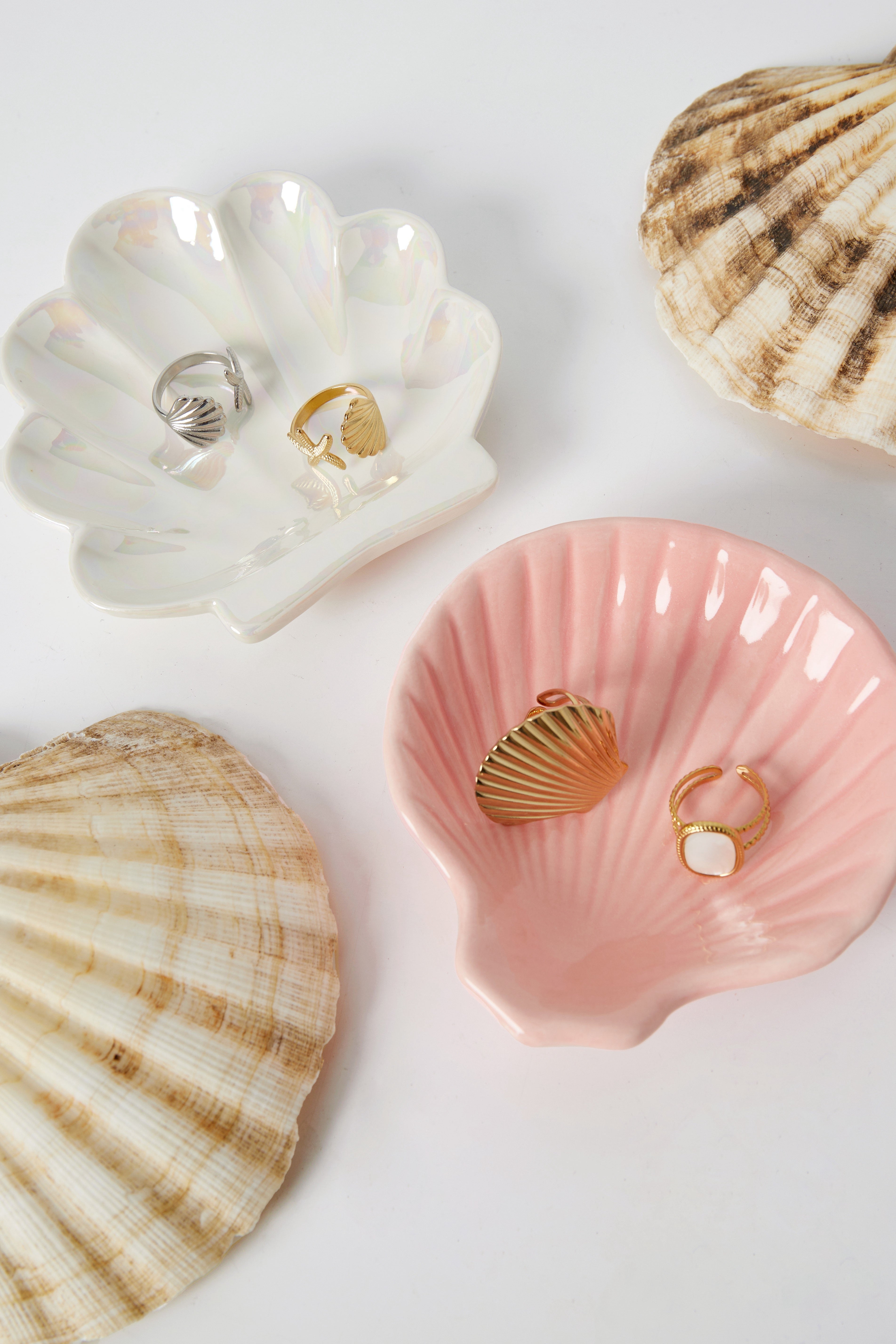 Schmuckschalen in Weiß und Rosa im Muschel-Design mit Ringen dekoriert